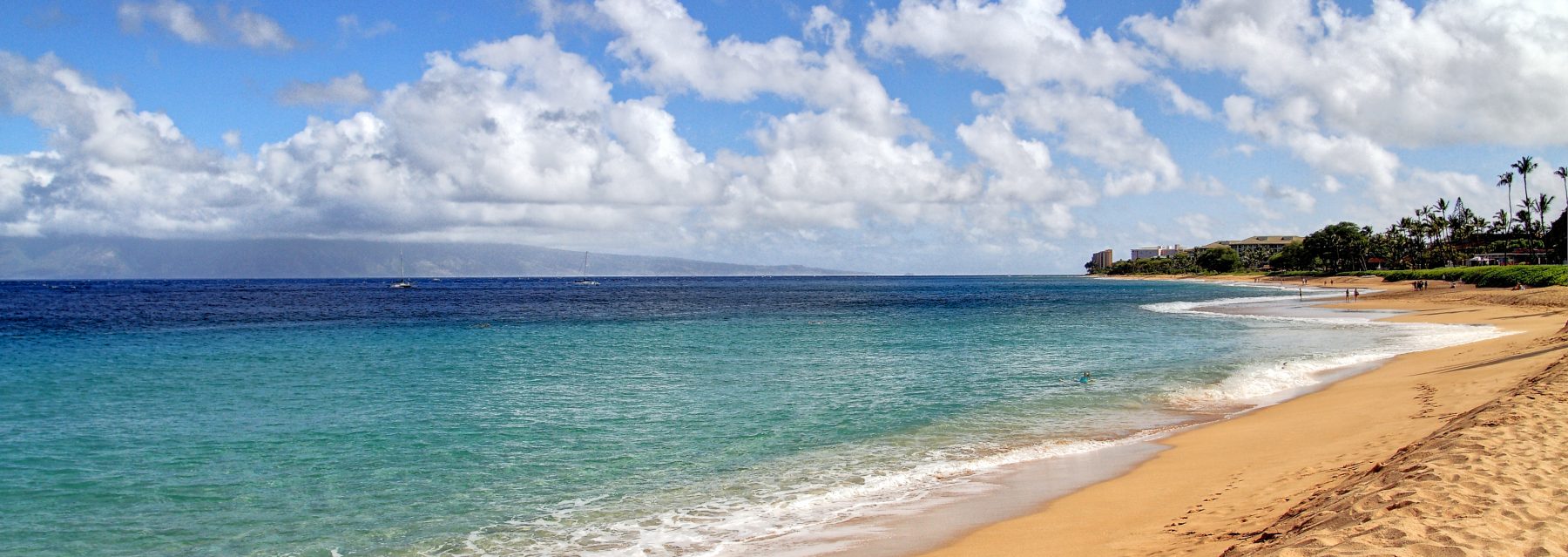 Sophie DeLoria Foundation