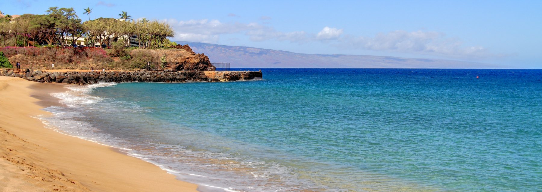 Sophie DeLoria Foundation